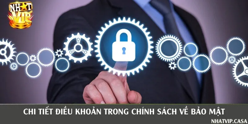 Chi tiết các điều khoản quan trọng trong chính sách về bảo mật